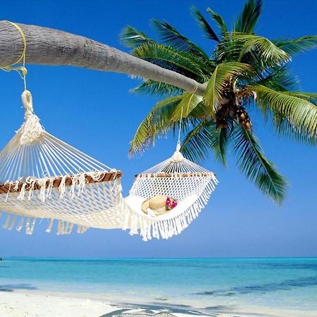 Affordable Two Bedroom Tropical Condo - Private Beach, Pools, Hot Tub セント・ピーターズバーグ エクステリア 写真