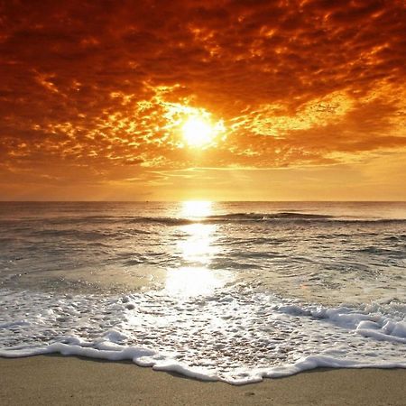 Affordable Two Bedroom Tropical Condo - Private Beach, Pools, Hot Tub セント・ピーターズバーグ エクステリア 写真
