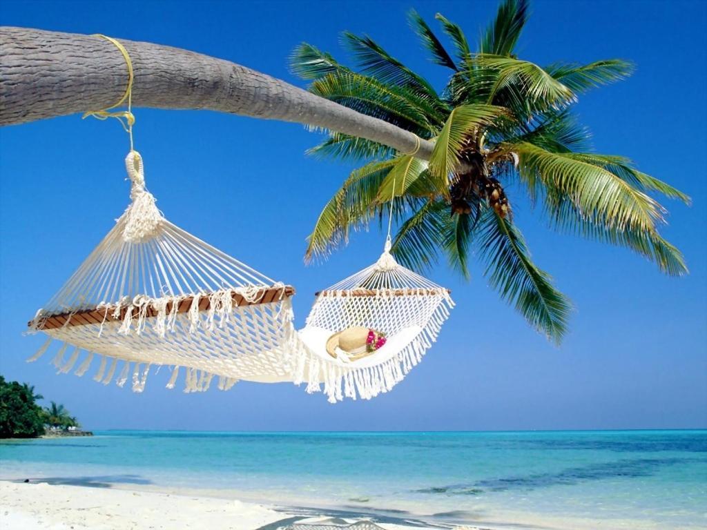 Affordable Two Bedroom Tropical Condo - Private Beach, Pools, Hot Tub セント・ピーターズバーグ エクステリア 写真